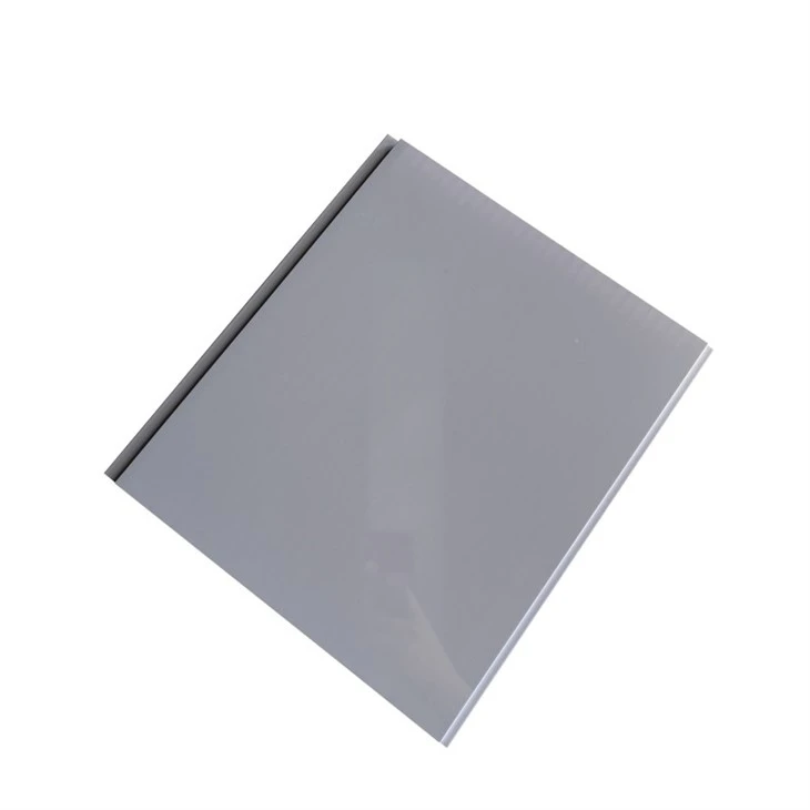 PVC Bathroom Ceiling